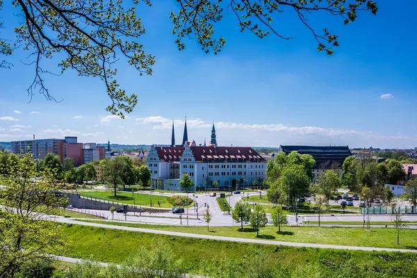 Das Bild zeigt eine Stadtansicht von Zwickau in sommerlicher Natur.