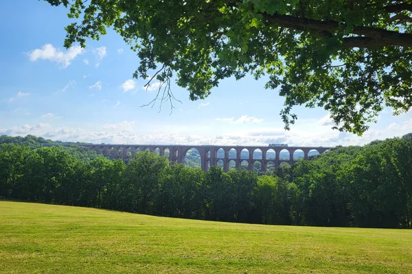 Das Bild zeigt die Göltzschtalbrücke bei Netzschkau, eine große, gewölbte Eisenbahnbrücke, die sich über ein üppiges, grünes Tal erstreckt. Im Vordergrund befindet sich eine offene Grasfläche unter einem klaren blauen Himmel mit einigen verstreuten Wolken. Ein Ast mit grünen Blättern ragt von oben in das Bild und rahmt den Blick auf die Brücke und das Tal teilweise ein.