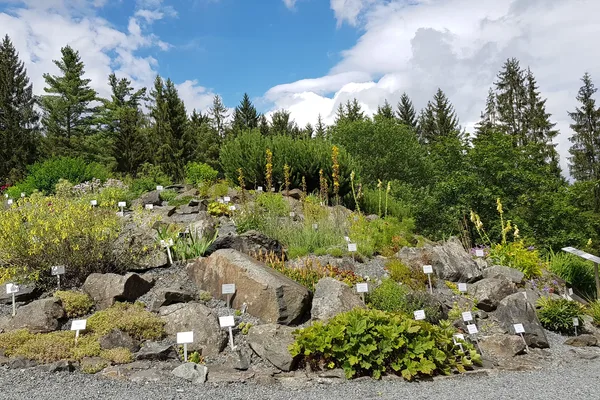 Ein Hang, der mit vielen verschiedenen Pflanzen und Sträuchern besetzt ist. Er wird durch mittelgroße Felsblöcke unterteilt und es führt ein Kiesweg daran vorbei. Im Hintergrund ist ein Waldstück zu erkennen.