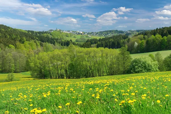 Das Bild zeigt eine malerische Landschaft mit einem Feld gelber Blumen im Vordergrund, umgeben von üppigen grünen Bäumen und sanften Hügeln. In der Ferne befindet sich eine kleine Stadt oder ein Dorf auf einem Hügel, mit weiteren bewaldeten Gebieten und offenen Feldern, die sich bis zum Horizont erstrecken. Der Himmel ist blau mit verstreuten weißen Wolken.