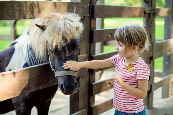 Das Bild zeigt ein kleines Mädchen in einem rot-weiß gestreiften Shirt, das ein dunkelbraunes Pony mit blonder Mähne durch einen Holzzaun hindurch am Kopf streichelt.