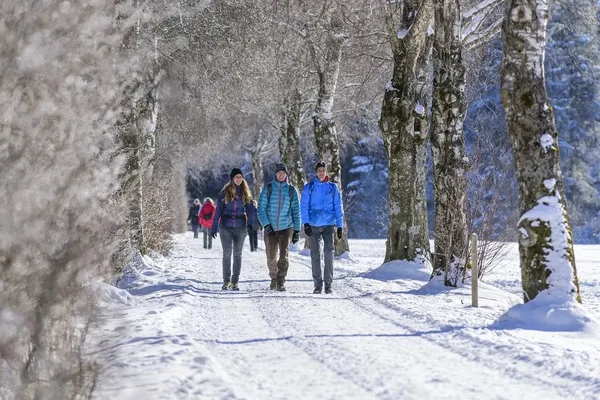 Das Bild zeigt Wanderer im Winter auf einem Weg im Winterwald.