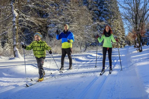 Das Bild zeigt eine Loipe in Schöneck, die vor allem für Familien geeignet ist, sie heißt Familienloipe.