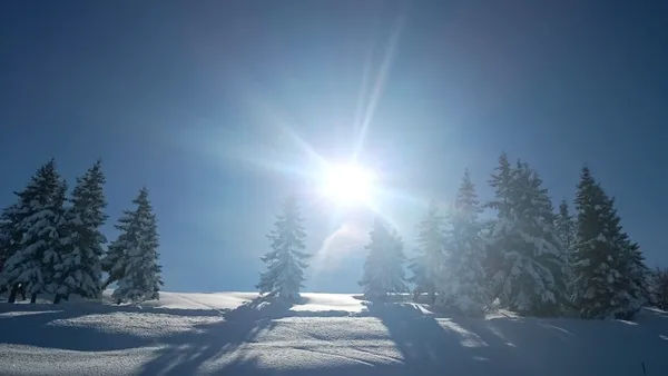 Das Bild zeigt einen sonnigen Tag im Winter mit viel Schnee und beschneiten Bäumen.
