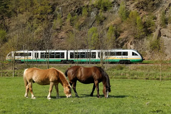 Desiro auf der Elstertalbahn