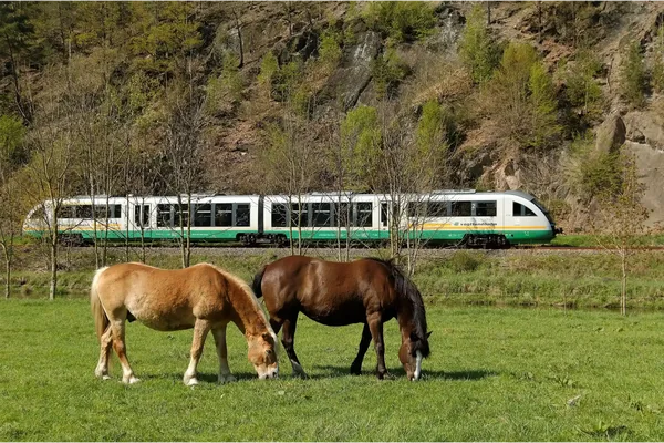 Desiro auf der Elstertalbahn bei Berga (Elster)