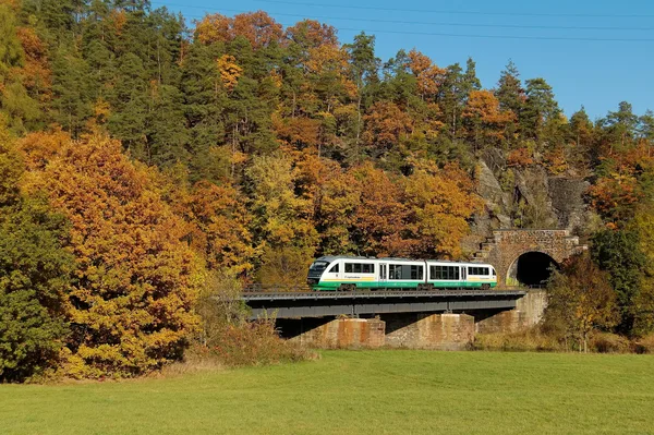 Desiro auf der Elstertalbahn