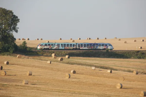 Desiro mit Vogtlandbeklebung