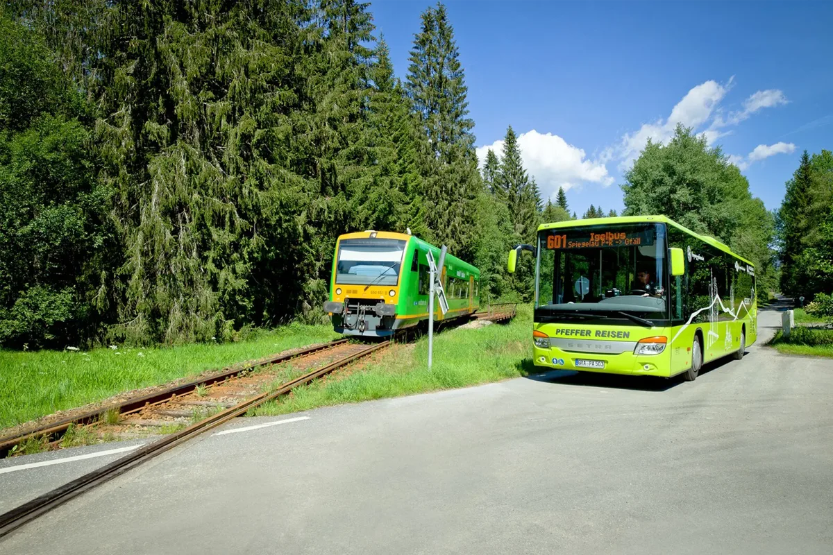Die waldbahn fährt auf einem Gleis, links von ihr ist ein Waldstück, rechts neben ihr steht der Igelbus auf einer Straße.