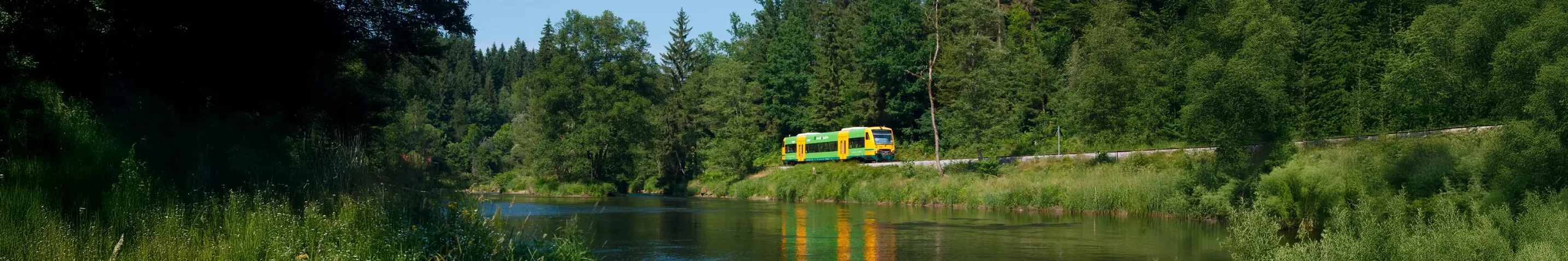 Die waldbahn fährt an einem Fluss entlang durch den dichten Wald.