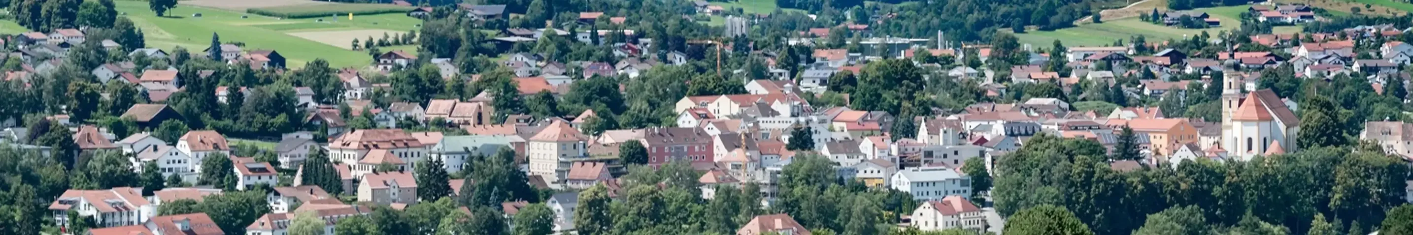 Blick auf eine Stadt umgeben von vielen Wiesen und Bäumen.