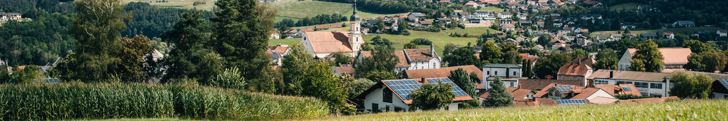 Blick auf eine Stadt umgeben von vielen Wiesen und Bäumen.