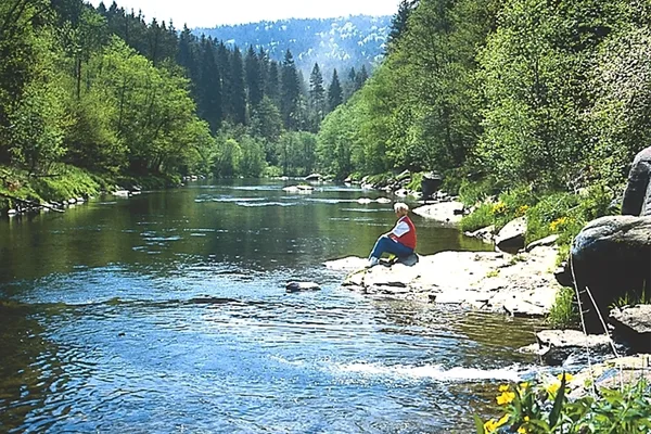 Ein Fluss, der durch einen Wald fließt. Am Ufer sitzt ein Mann und im Hintergrund sind die Berge des Bayerischen Walds zu sehen.