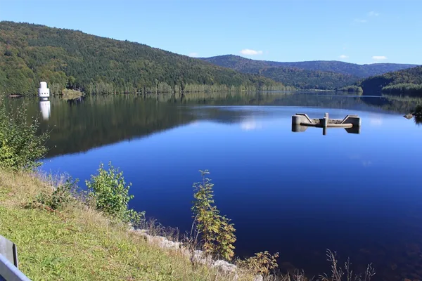 Ein ruhiger, großer See, in dem sich der blaue Himmel spiegelt, umgeben von Hügeln und Bergen, die dicht mit Bäumen bewachsen sind.