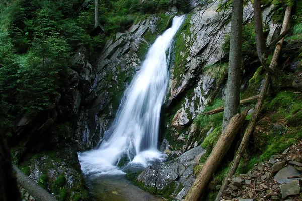 Ein Wasserfall, der an einer felsigen Wand herunterläuft. Die Felsen sind teilweise bemoost und der Wasserfall ist von Bäumen umgeben.