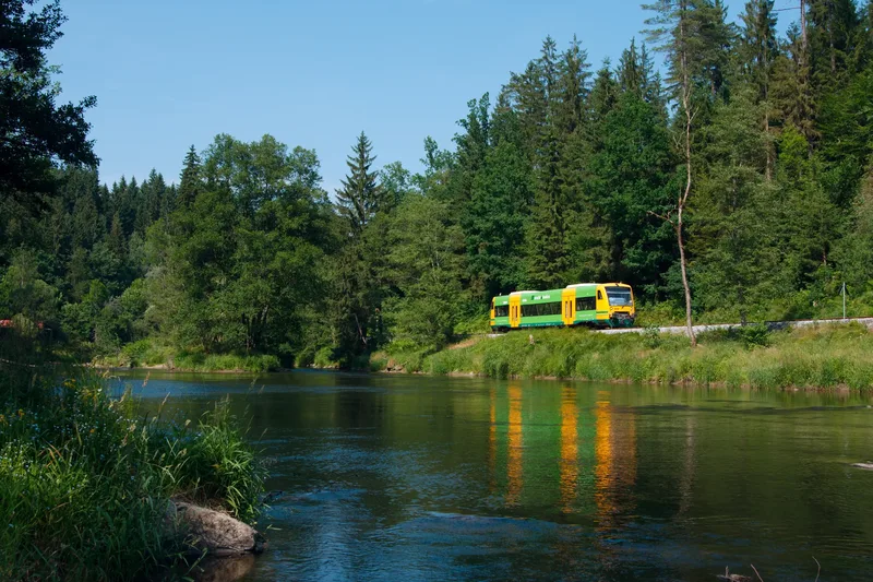 Die waldbahn fährt an einem Fluss entlang durch den dichten Wald.