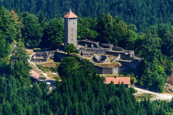 Blick auf die Burgruine Altnussberg, die auf einem Berg von Nadelwald umgeben ist.
