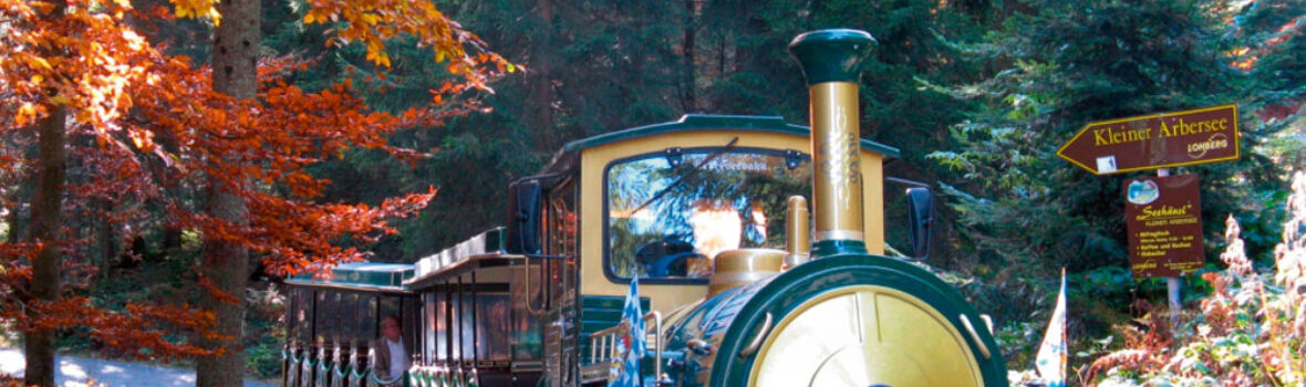 Die Bocklbahn fährt durch den herbstlich gefärbten Wald in Richtung Arbersee.