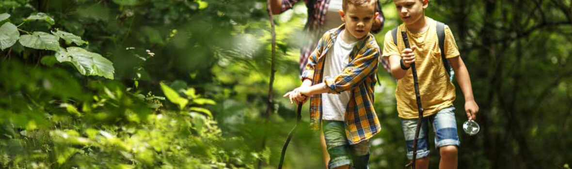 Mutter mit Kindern beim Wandern durch den Wald