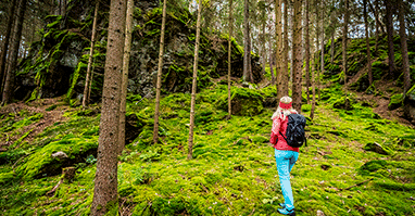 Wanderung ins Waldnaabtal zur Blockhütte Eine Wanderin ist von hinten zu sehen. Sie steht an einem steilen Stück bemoosten Waldes und sieht nach oben. Im Hintergrund sind Felsformationen zu sehen.