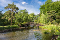 Brücke im Botanischen Garten von Wroclaw