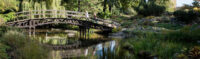 Brücke im Botanischen Garten von Wroclaw
