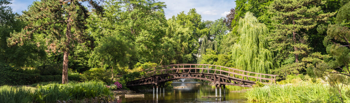 Brücke im Botanischen Garten von Wroclaw