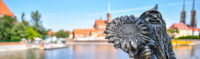Zwergstatue mit Sonnenblume in Wroclaw