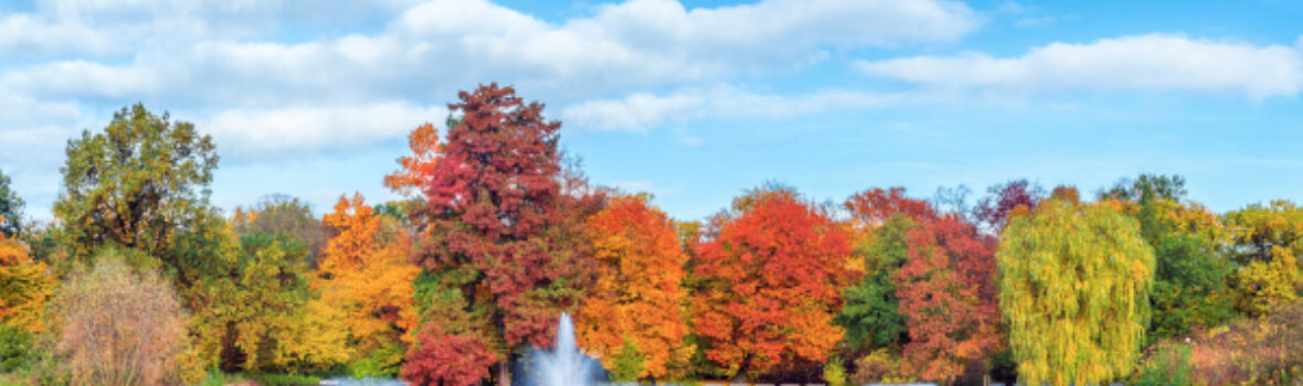 Park Południowy mit Wasserfontänen und bunten Bäumen im Herbst