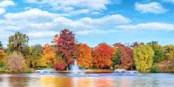 Park Południowy mit Wasserfontänen und bunten Bäumen im Herbst