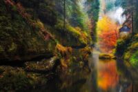 Das Bild zeigt eine idyllische Szene mit einem kleinen Haus, das am Rand eines ruhigen Flusses im Wald liegt. Das Haus ist von dichten Bäumen mit Herbstlaub umgeben, die in lebhaften Farben von Rot, Orange und Gelb leuchten. Aus dem Schornstein steigt Rauch auf, was darauf hinweist, dass das Haus bewohnt ist. Der Fluss spiegelt die bunten Bäume und das Haus wider und erzeugt einen spiegelartigen Effekt auf seiner Oberfläche. Mit Moos bedeckte Felsen und Grünpflanzen säumen das Flussufer und tragen zur natürlichen Schönheit der Szene bei.