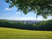 Das Bild zeigt die Göltzschtalbrücke bei Netzschkau, eine große, gewölbte Eisenbahnbrücke, die sich über ein üppiges, grünes Tal erstreckt. Im Vordergrund befindet sich eine offene Grasfläche unter einem klaren blauen Himmel mit einigen verstreuten Wolken. Ein Ast mit grünen Blättern ragt von oben in das Bild und rahmt den Blick auf die Brücke und das Tal teilweise ein.
