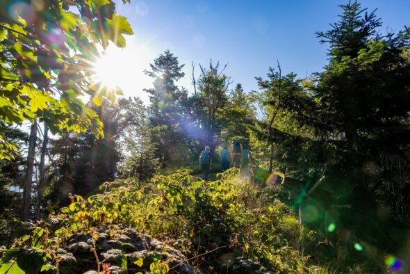 Kronberg Bodenmais Tourismus Marketing Gmb H