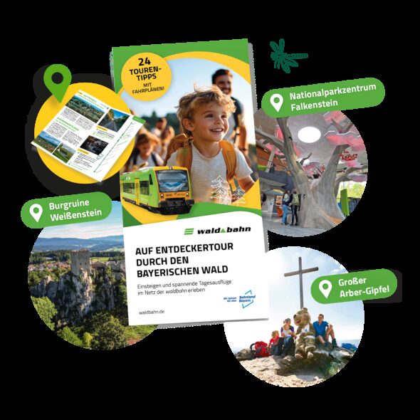 Montage flyer mockup tourentipps wb entdecke den wald