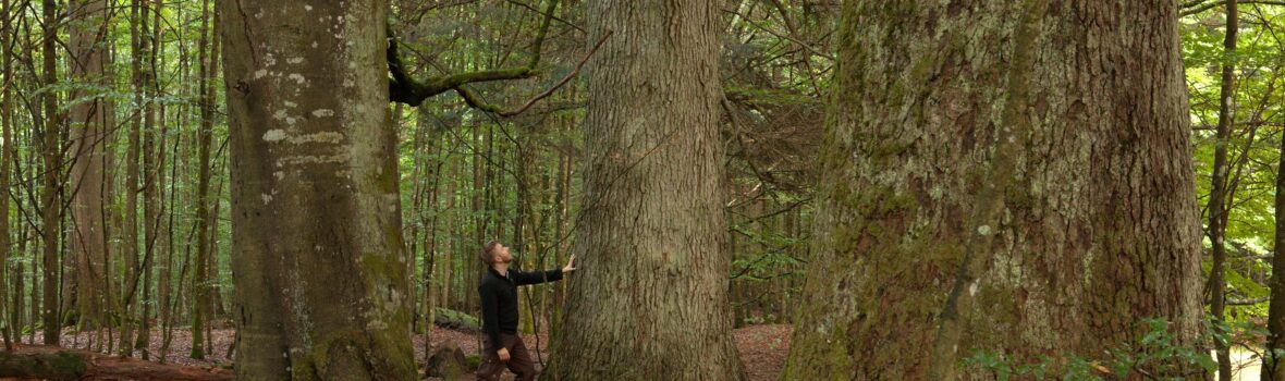 20141027 Watzlik Hain Kouta Raesaenen