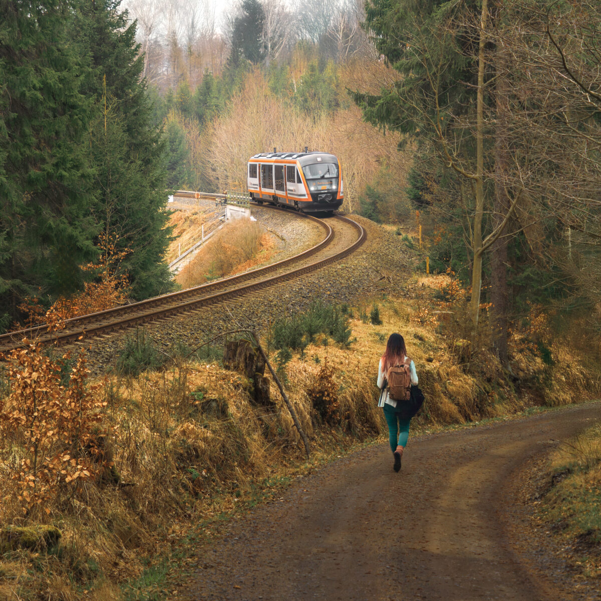 Vlak trilex projíždí přírodou, vpravo po turistické cestě jde turistka.